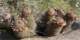 imgp2319_small.jpg