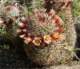 imgp2321_small.jpg