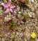 imgp2322_small.jpg