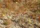 imgp2325_small.jpg