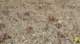 imgp2329_small.jpg