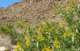 imgp2340_small.jpg