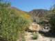 imgp2342_small.jpg
