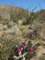 imgp2344_small.jpg