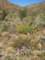imgp2346_small.jpg