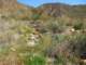 imgp2349_small.jpg