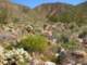 imgp2350_small.jpg