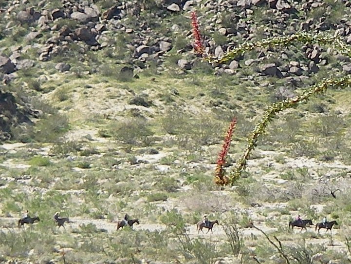 imgp2357.jpg