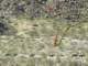 imgp2357_small.jpg