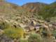 imgp2359_small.jpg