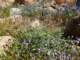 imgp2360_small.jpg