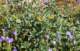 imgp2360c_small.jpg