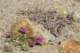 imgp2363_small.jpg