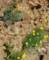 imgp2368_small.jpg