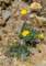 imgp2370_small.jpg