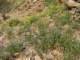imgp2372_small.jpg