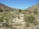 imgp2379_small.jpg