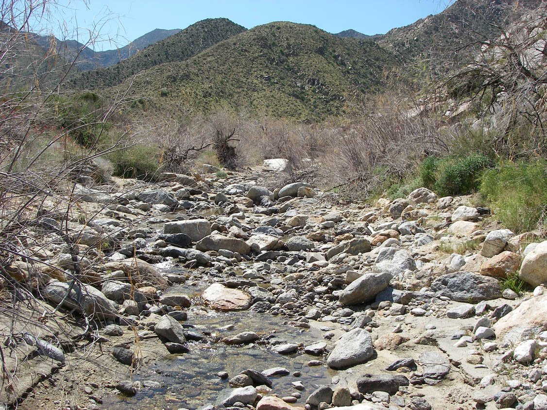 imgp2386.jpg