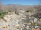 imgp2387_small.jpg