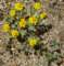 imgp2393_small.jpg