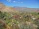 imgp2399_small.jpg