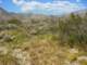 imgp2404_small.jpg
