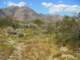 imgp2407_small.jpg