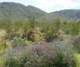imgp2408_small.jpg