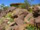 imgp2418_small.jpg
