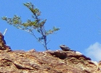 imgp2419.jpg
