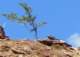 imgp2419_small.jpg