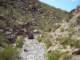 imgp2421_small.jpg