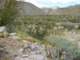 Lower Coyote Canyon in Anza-Borrego 3/13/2009 