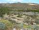 imgp2423_small.jpg