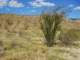 imgp2426_small.jpg