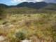 imgp2427_small.jpg