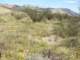 imgp2433_small.jpg