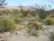 imgp2437_small.jpg