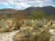 imgp2439_small.jpg