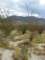 imgp2442_small.jpg
