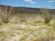 imgp2445_small.jpg