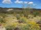 imgp2448_small.jpg