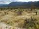 imgp2452_small.jpg