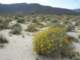 imgp2457_small.jpg