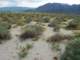 imgp2460_small.jpg