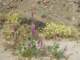 imgp2463_small.jpg