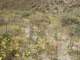 imgp2468_small.jpg