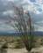 imgp2472_small.jpg