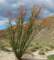 imgp2474_small.jpg