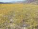 imgp2476_small.jpg